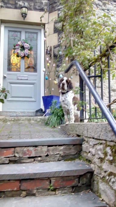 Doorstep and front of the house, including Juno.