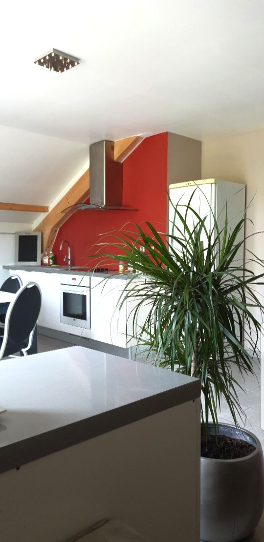 A modern kitchen area features sleek white cabinets and a red accent wall. A potted plant adds a touch of greenery, while stainless-steel appliances are visible. The open layout promotes a bright and functional space for meal preparation.