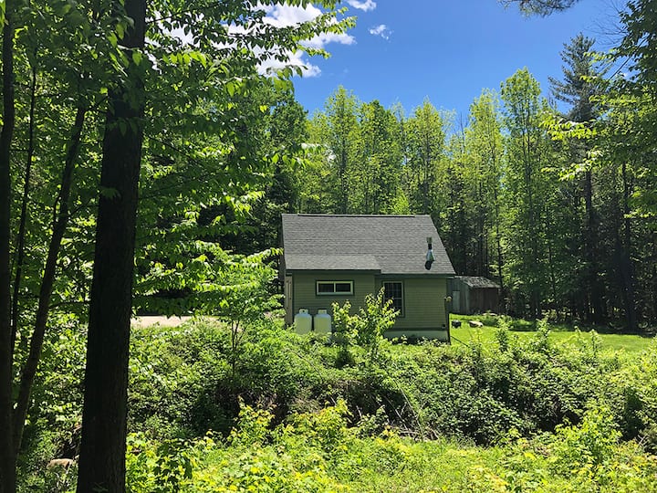 Private Cabin/PetsOK/Minutes to Okemo/AC/Fast Wifi