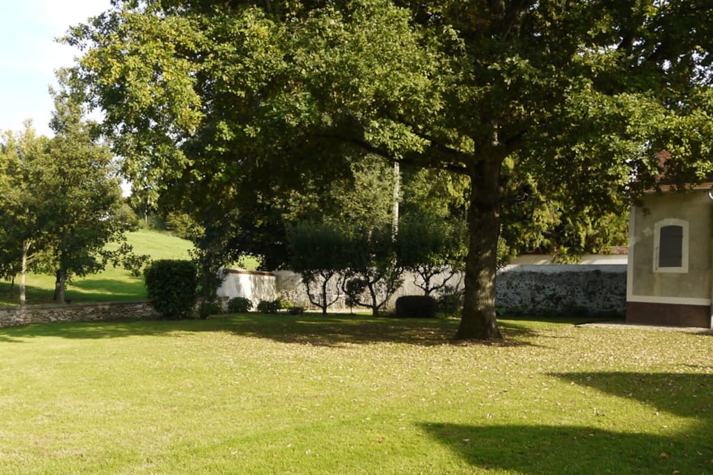 Le jardin