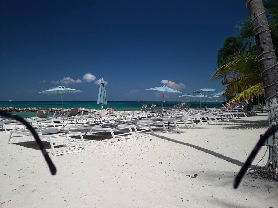 Plenty of beach chairs and umbrellas