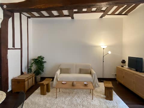 Successful Airbnb property: Saint-Germain-des-Prés Apartment in Paris