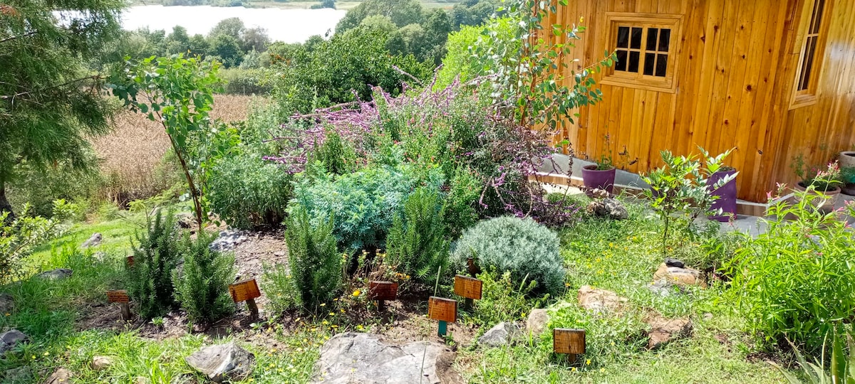 A lush garden area is framed by a variety of plants and herbs, marked by small wooden labels for identification. Various shades of green dominate the landscape, complemented by colorful flowering plants. A wooden structure is visible in the background, alongside a serene water view.