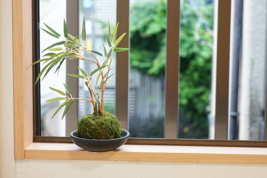 Green View outside the window