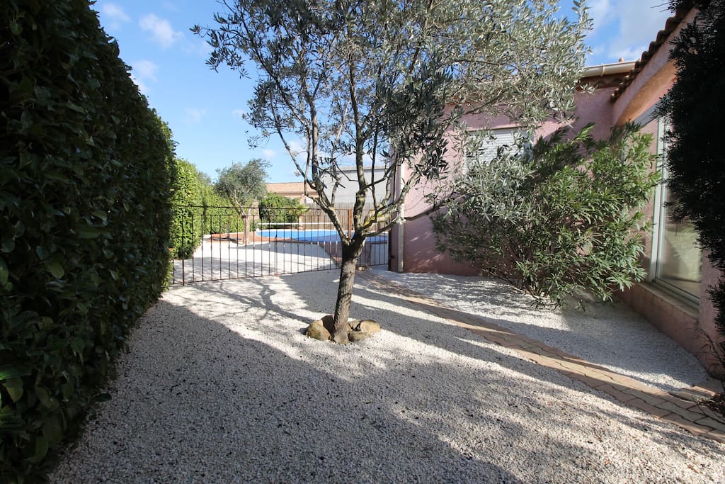Garden to Swimming Pool
