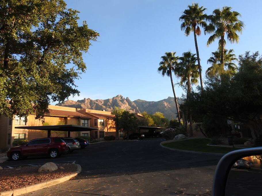 Your Back Patio View