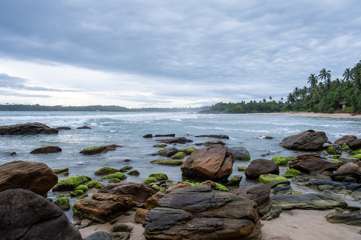 A rugged shoreline is depicted, showcasing smooth rocks covered with green moss. The ocean waves gently lap against the stones, while the backdrop features a dense line of palm trees against a cloudy sky. A secluded beach is visible in the distance.