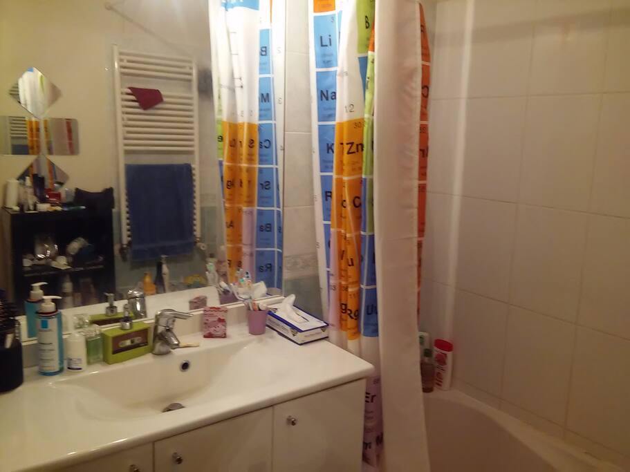 La salle de bain