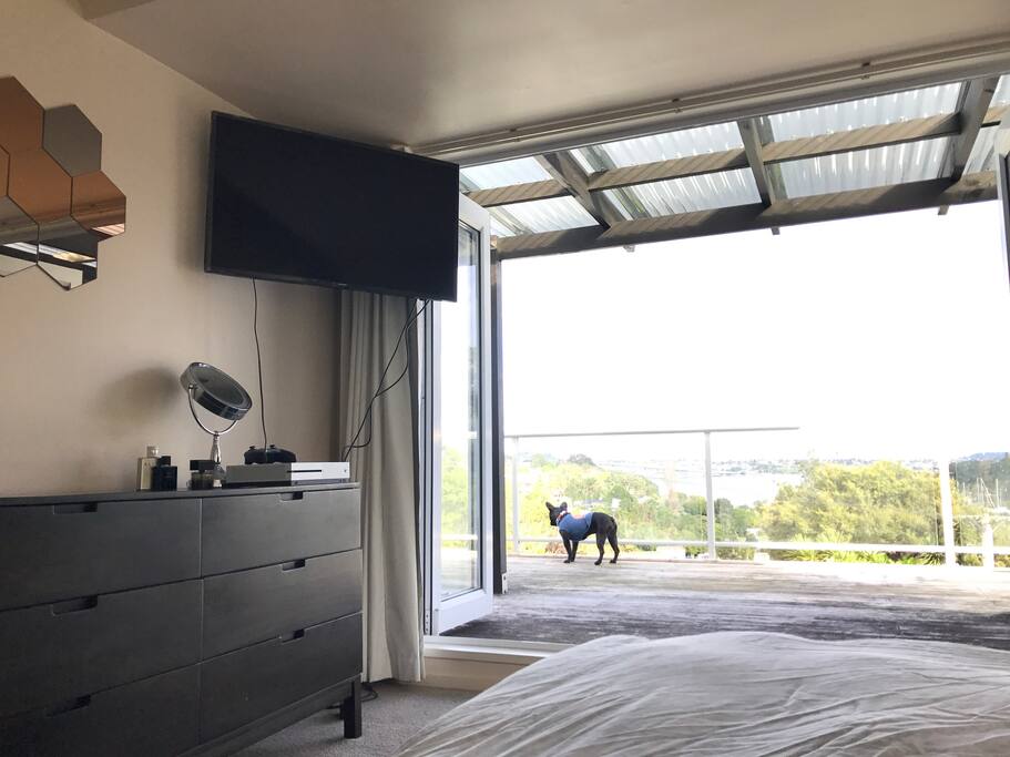 Dog not included!