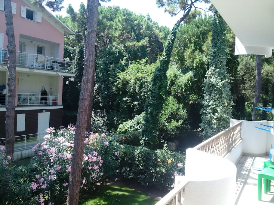 Vista
