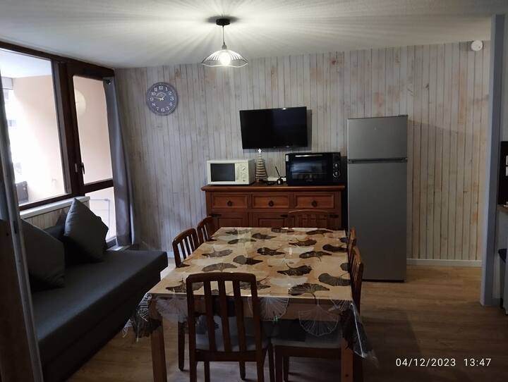 Proche Des Pistes- F2-36 M2 / 4-6 Pers-2 Etoiles - Lac Chauvet