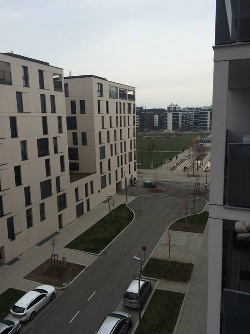 Park view