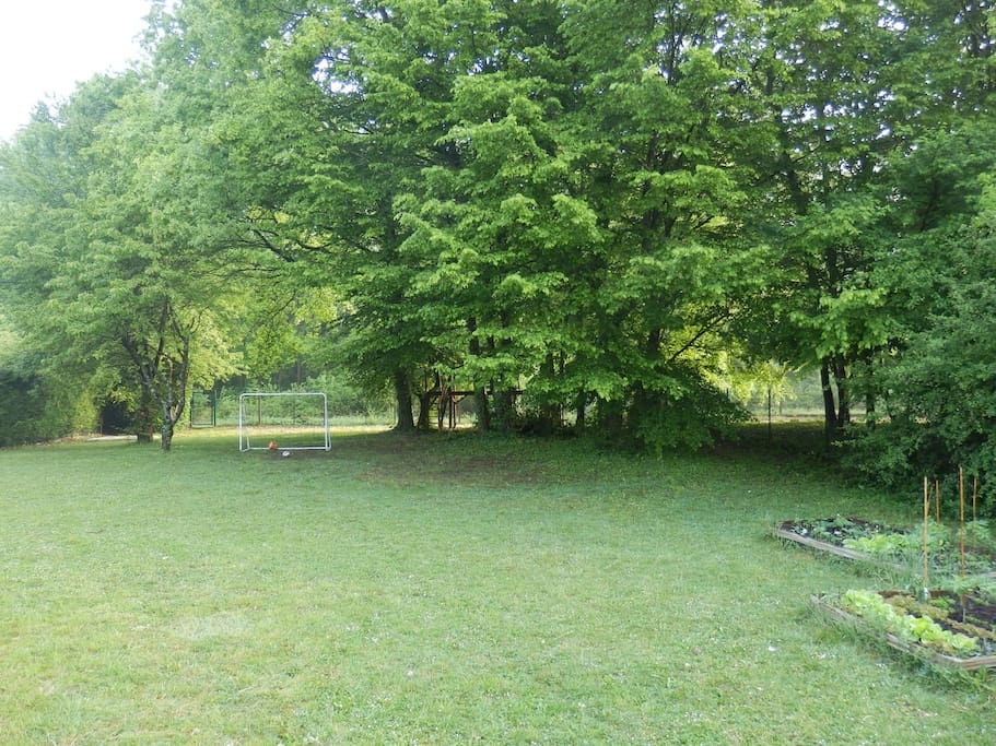 Potager et Foret dans le jardin