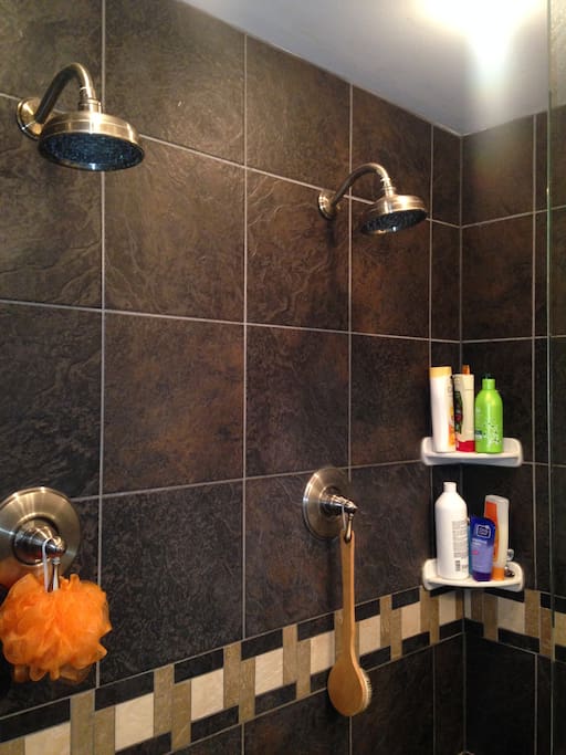 dual shower