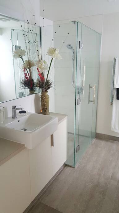 Bathroom vanity and shower