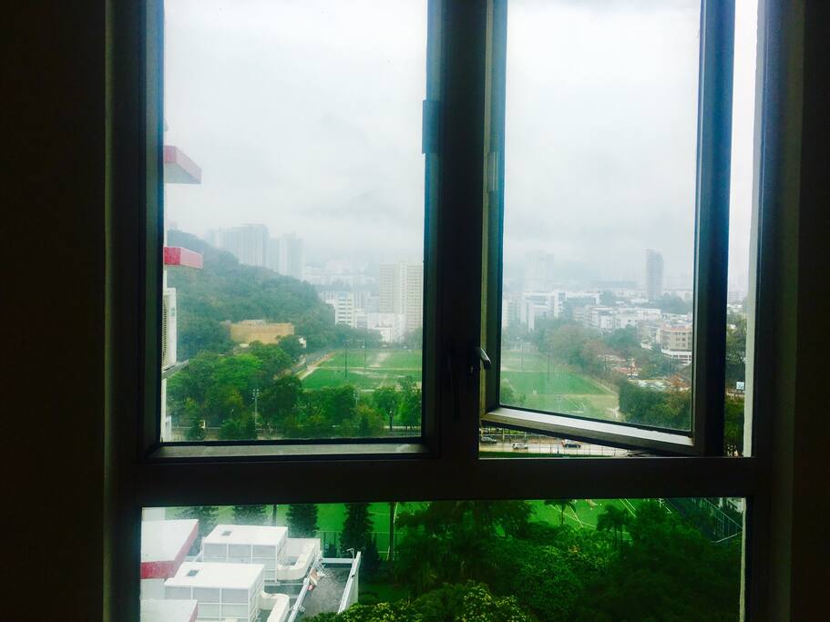 Window view