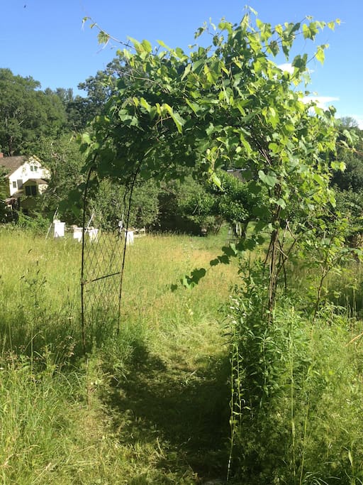 arbor between the main house and the cabiin