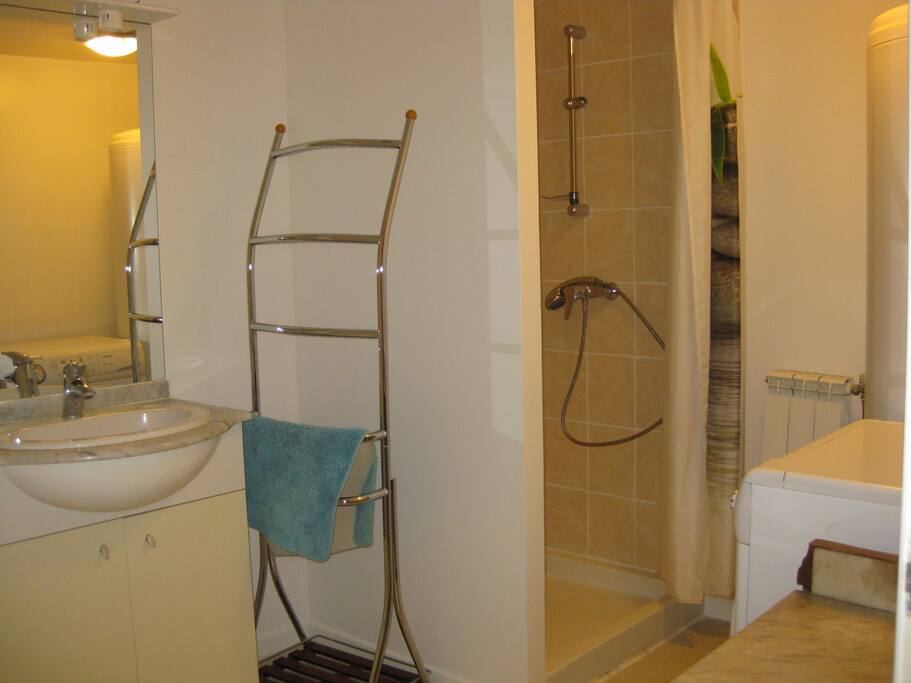 1 salle de bain avec douche