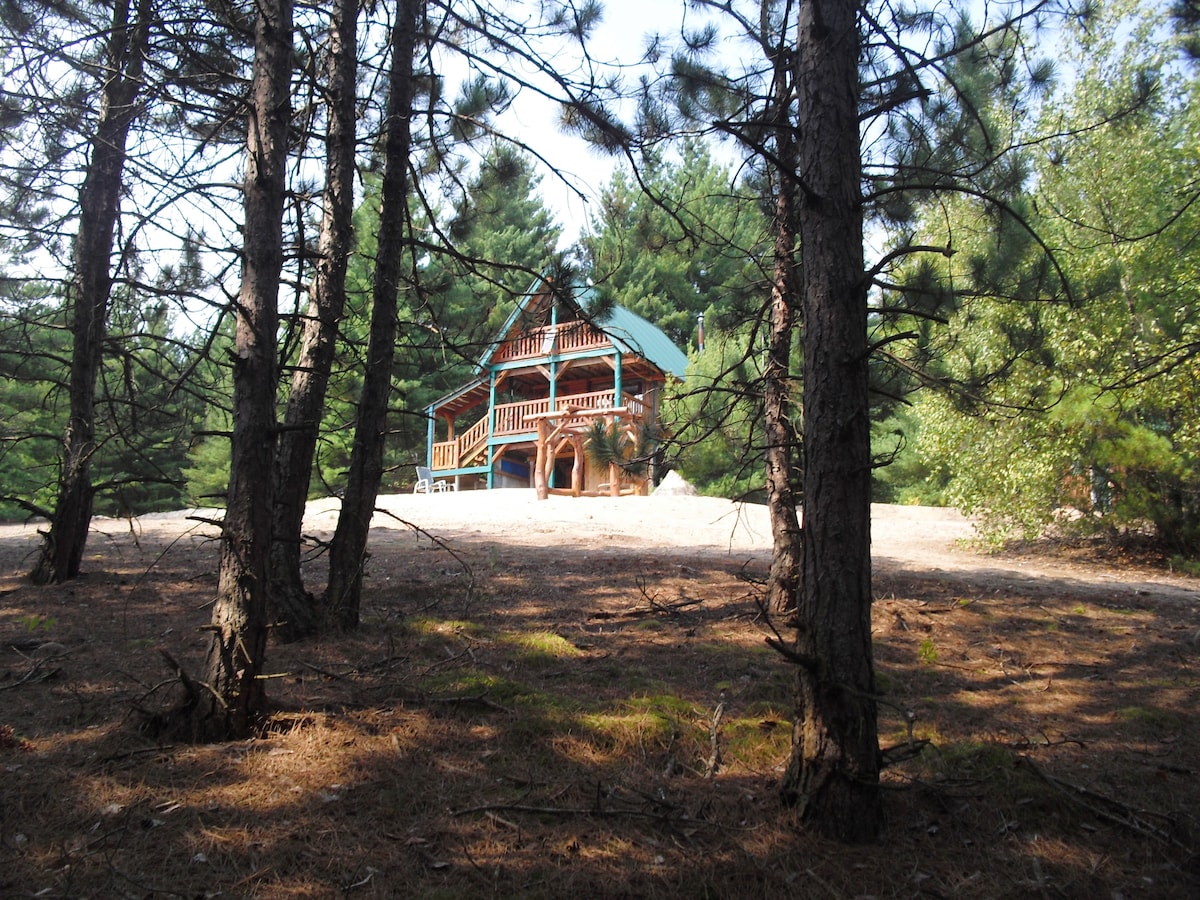 The cabin is nestled among tall pine trees, showcasing a rustic wooden exterior and a covered porch with railing. Sunlight filters through the branches, highlighting the natural surroundings on a serene, wooded lot.