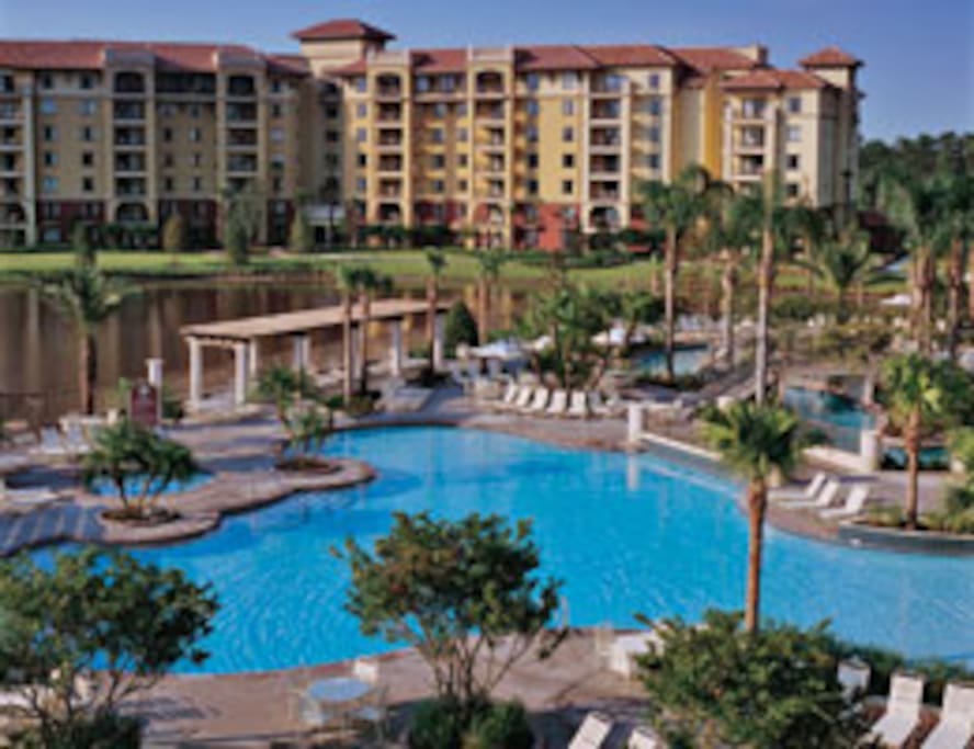 Main Pool Area