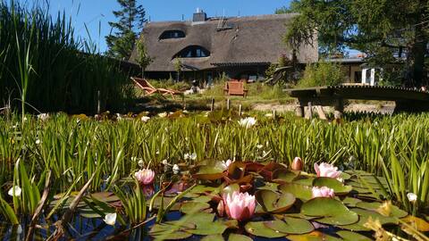 Large thatched-roof house on the Baltic Sea