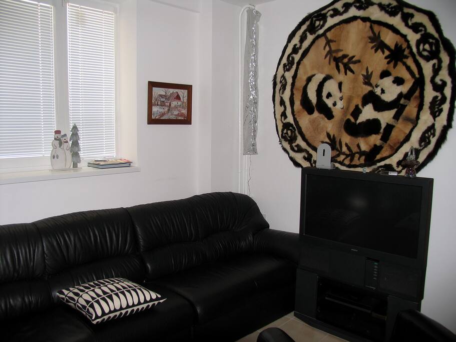 Downstairs Living Room