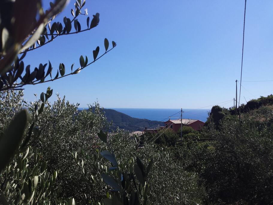 Sea view