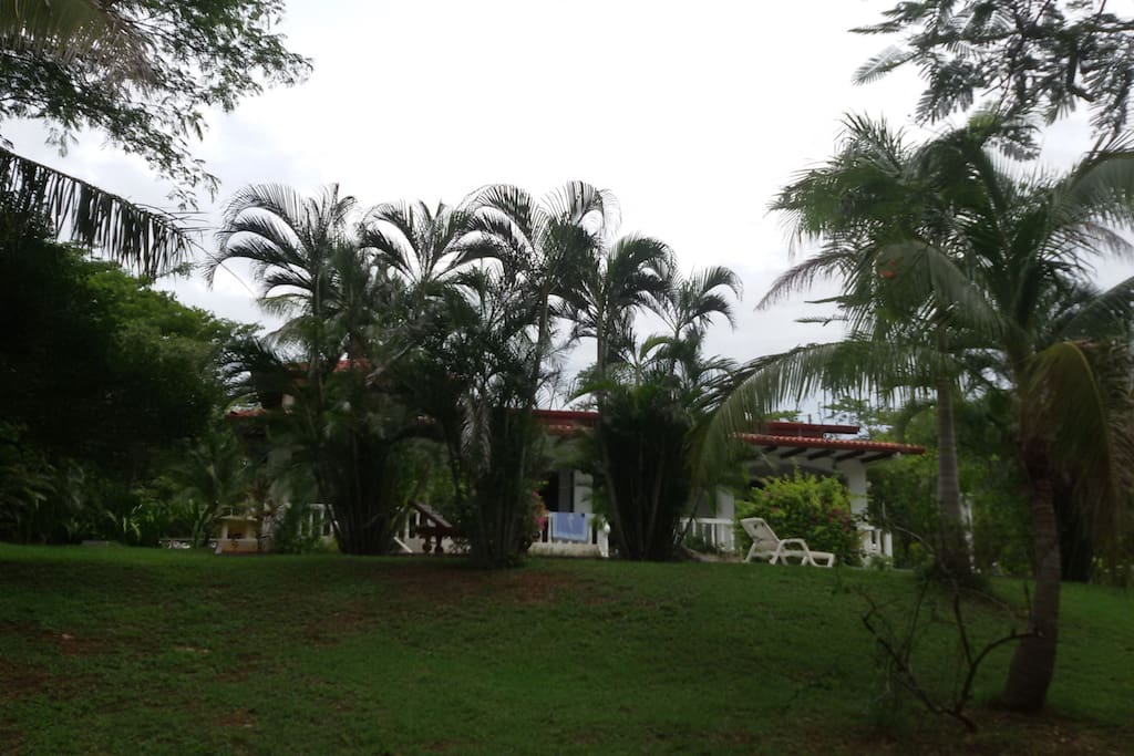 vue du jardin tropical