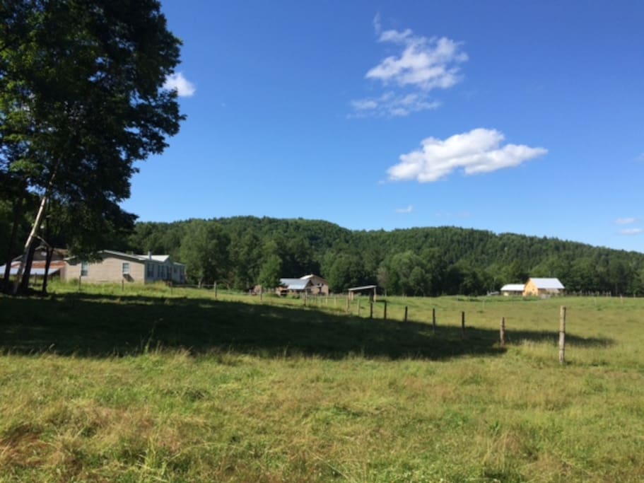 This is an unusual perspective of the farm from the south looking north - the Burelli Farm business building where the apartment is located is the building in the middle peeking out from behind the barn.