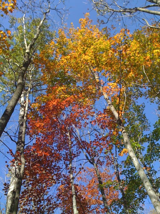 It's beautiful in all seasons.