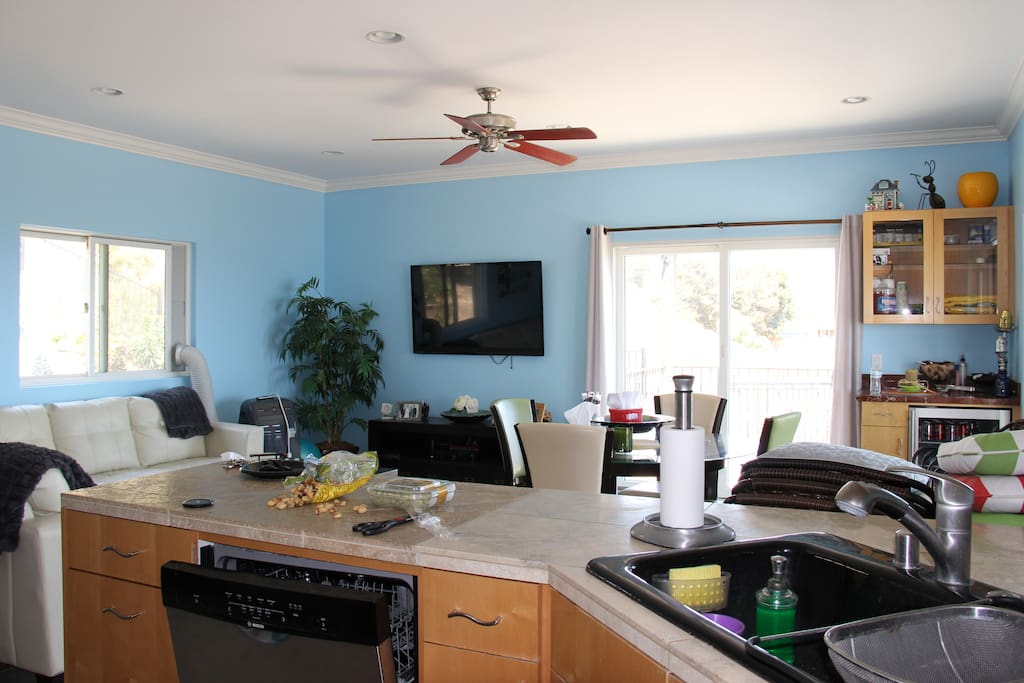 kitchen and living room
