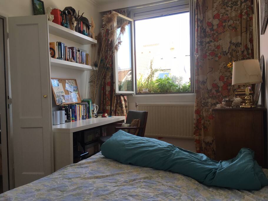 The room with a view