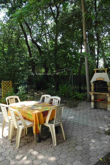 Terrasse et barbecue
