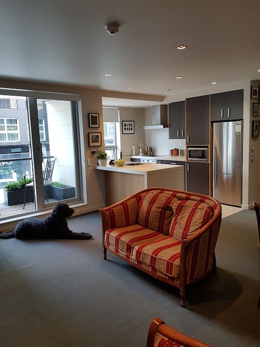 Lounge/Kitchen