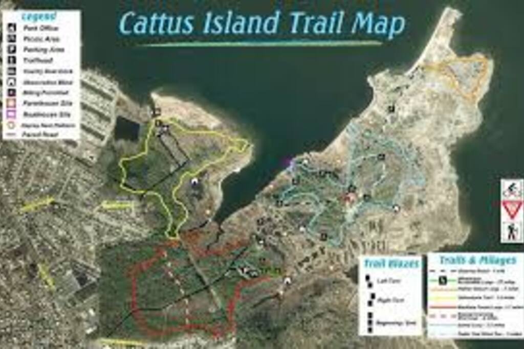 cattus Island walking and bike trails which backs up to our properties