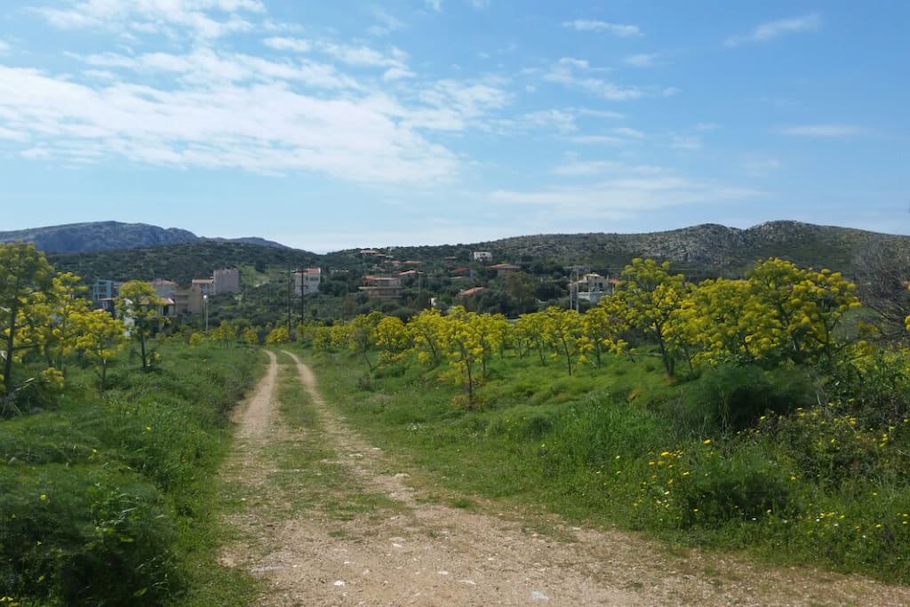 view of the village