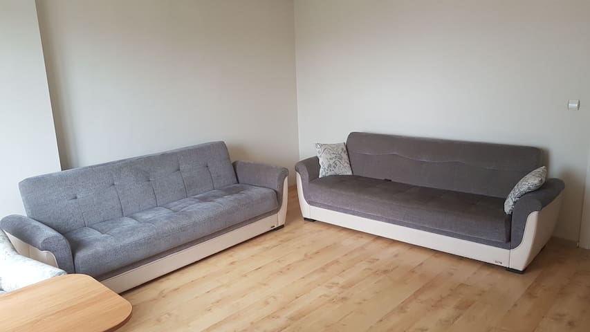 Rent Room from Textile Engineer