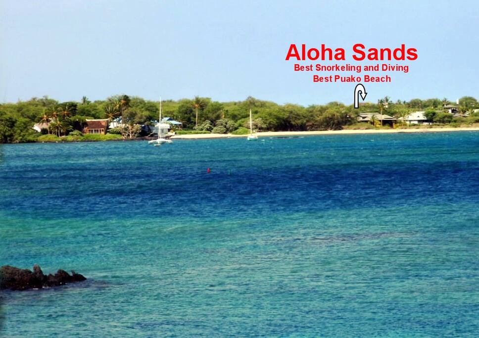 "Aloha Sands" Beach and Bay Front