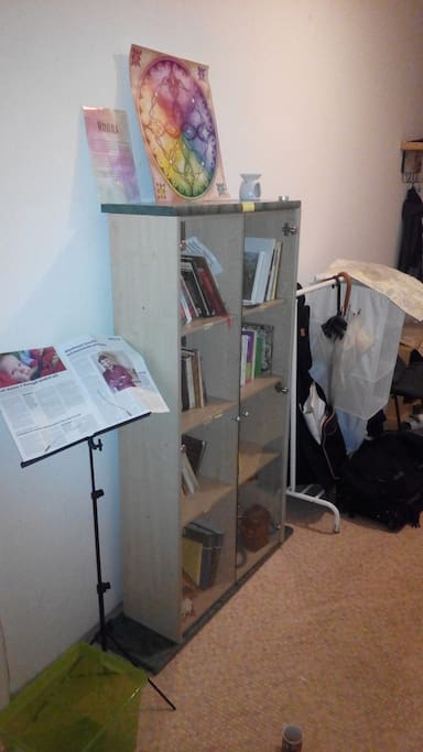 Library and reading corner - the core of the flat