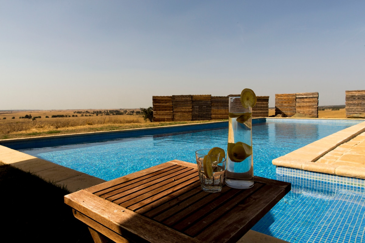 A wooden table is positioned beside a sparkling swimming pool, featuring a glass of water adorned with lemon slices and an empty tumbler. The expansive view of open fields stretches in the background under a clear blue sky.