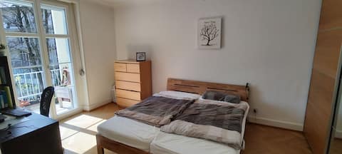 Spacious 3-room apartment near the center