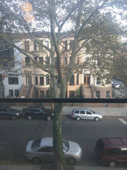 View from the second bedroom