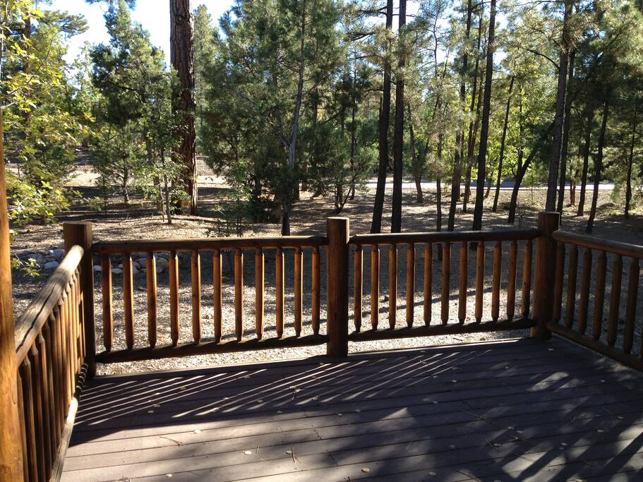 Back Yard &
Deck