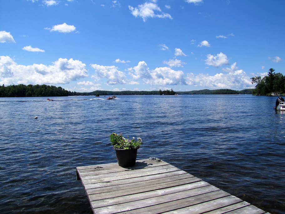 4 bdrm cottage Magnificient view of Lake Louisa Chalets for Rent in