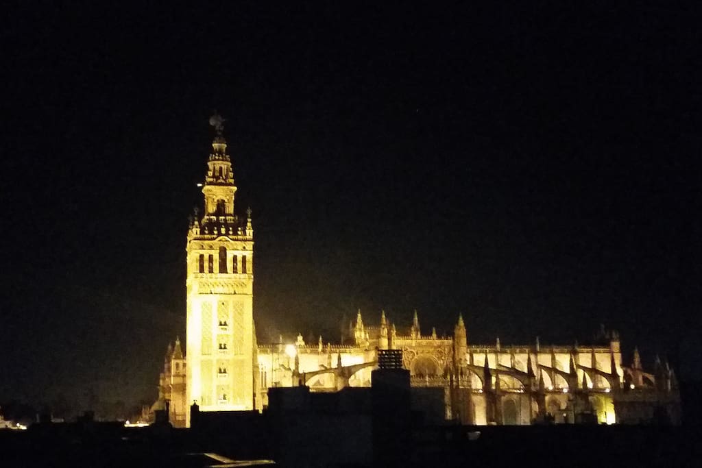 VISTAS NOCTURNAS DESDE TERRAZA PRIVADA