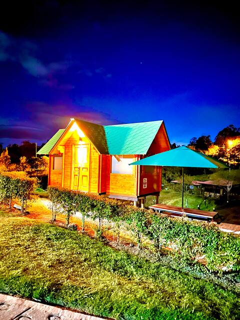 Pino Cabin – Natural Getaway 7 Min