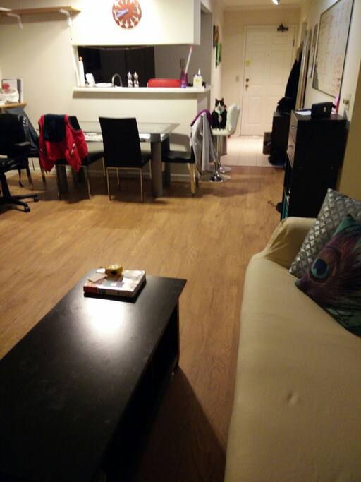 Living and dining room