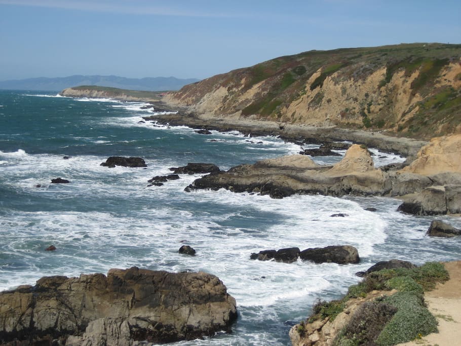 Shores of Bodega Bay
