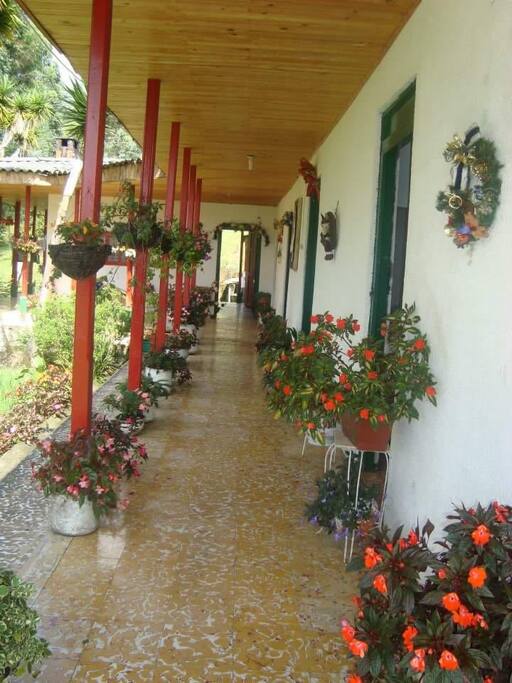 Bella locación