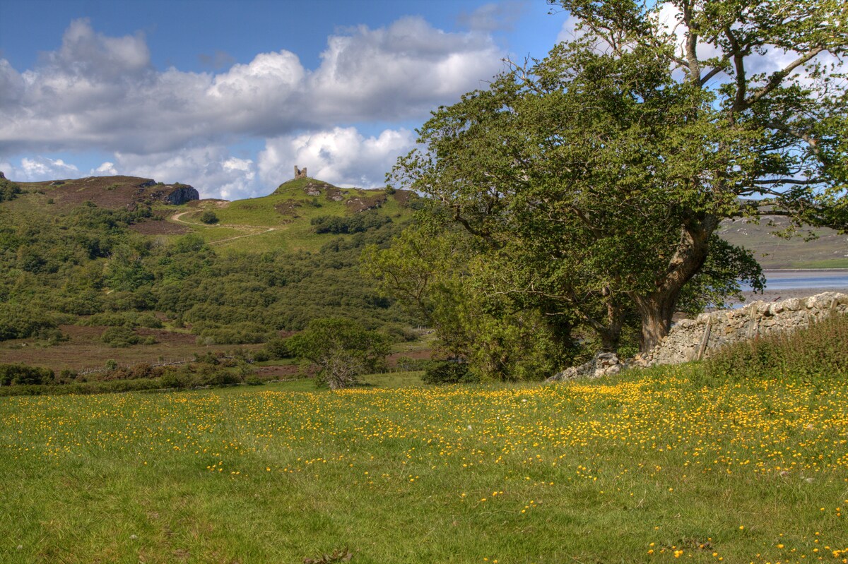 A green meadow dotted with yellow wildflowers is framed by a large tree and rocky terrain. In the background, a hill rises, featuring the ruins of a castle, while a mix of clouds and blue sky creates a scenic atmosphere.